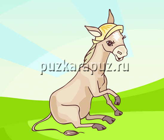 Все животные на английском языке произношения