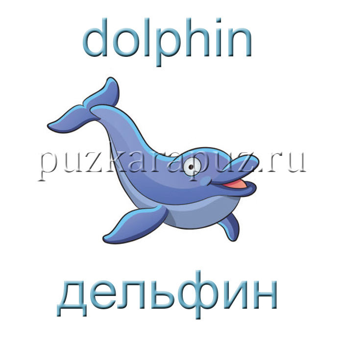Морские обитатели на английском языке