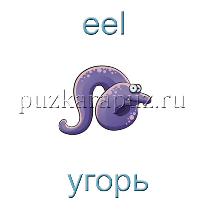 Обитатели морей и Океанов на английском