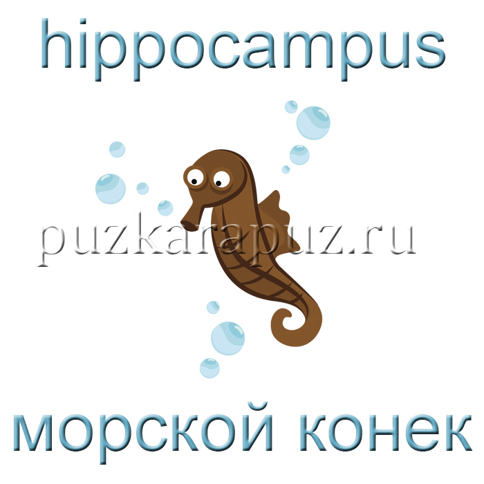 Рыбы открытый урок на английском языке