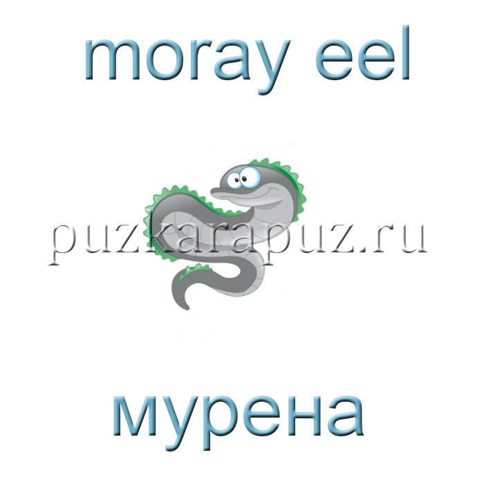 Уок английскго по теме sea world