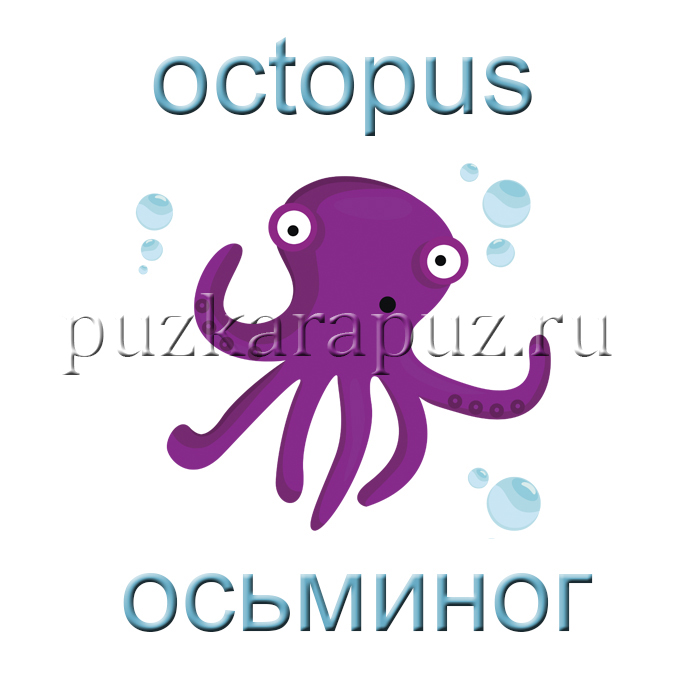 Морские обитатели на англиском