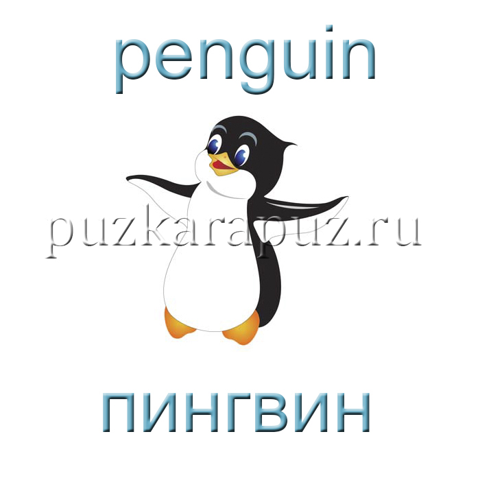 Тема рыбы на англ