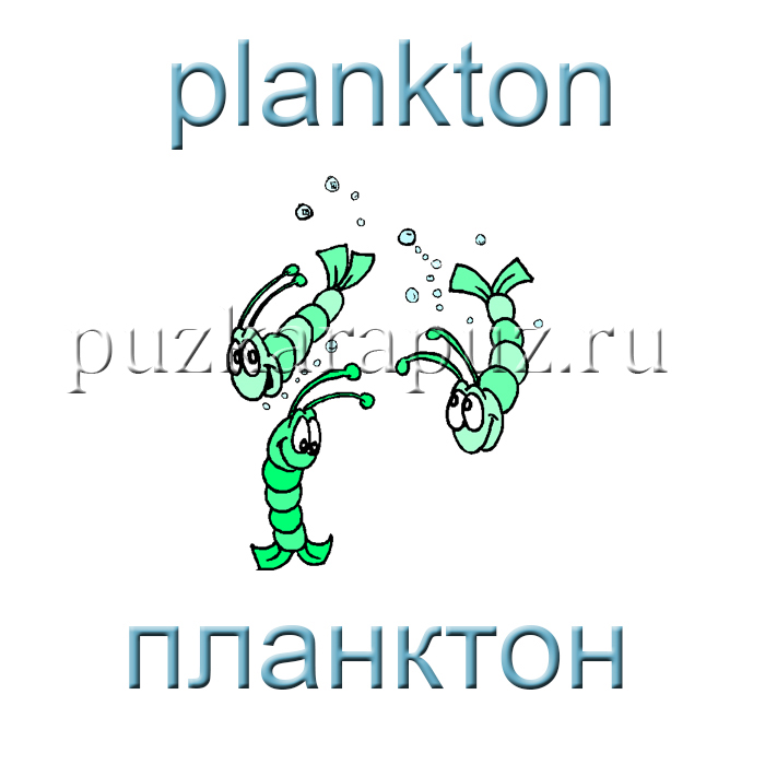 Все виде морской рибы и название