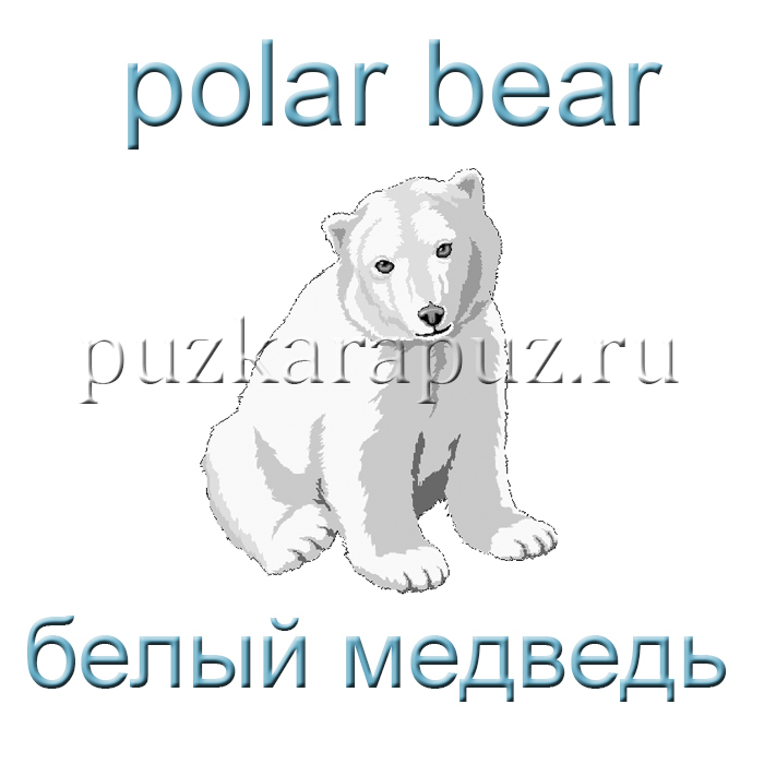 Обитатели морей и Океанов на английском