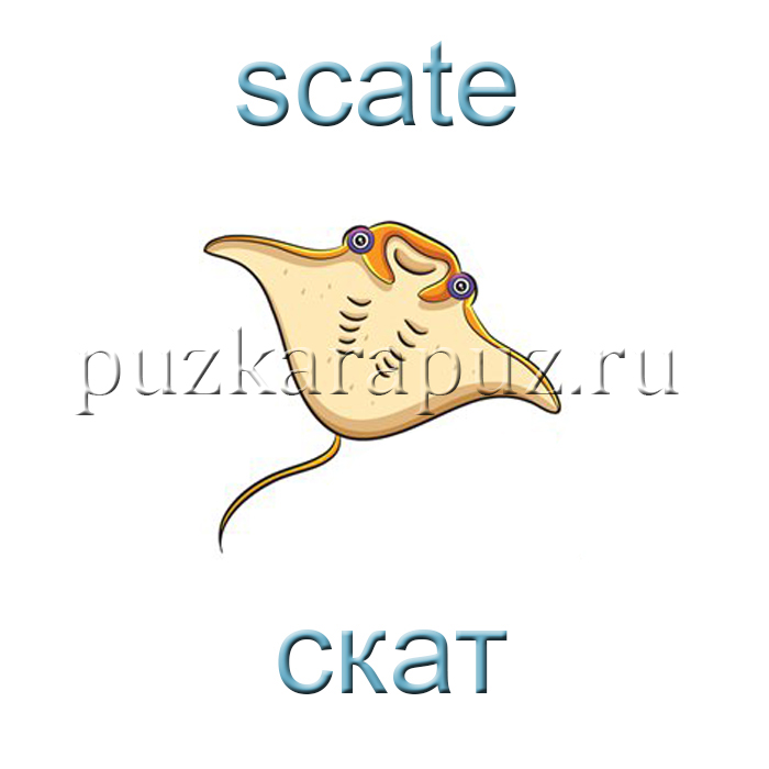 Тема рыбы на англ