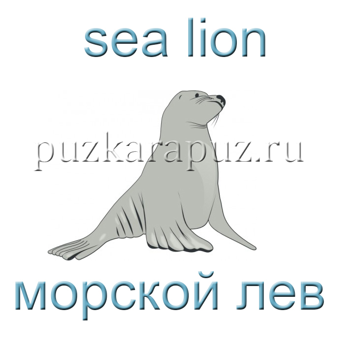 Морские обитатели на английском