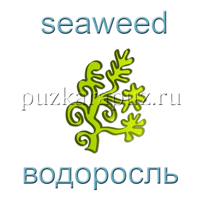 Английский морские обитатели произношение звук