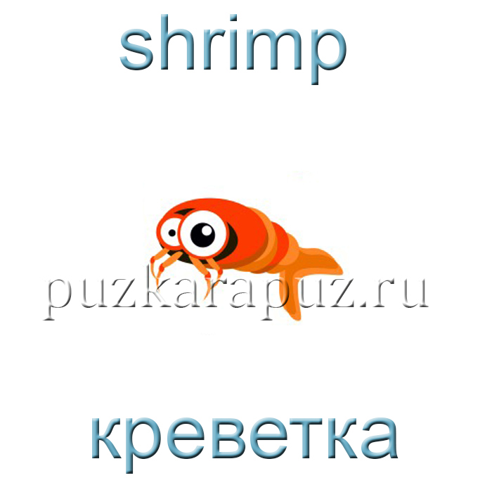 Морские обитатели на английском языке