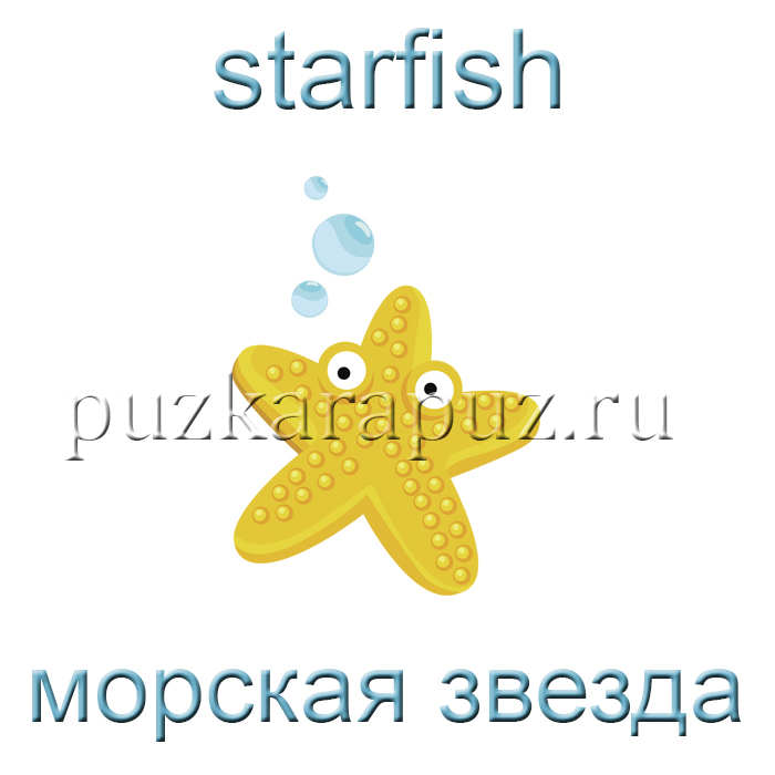Английские топики морские обитатели