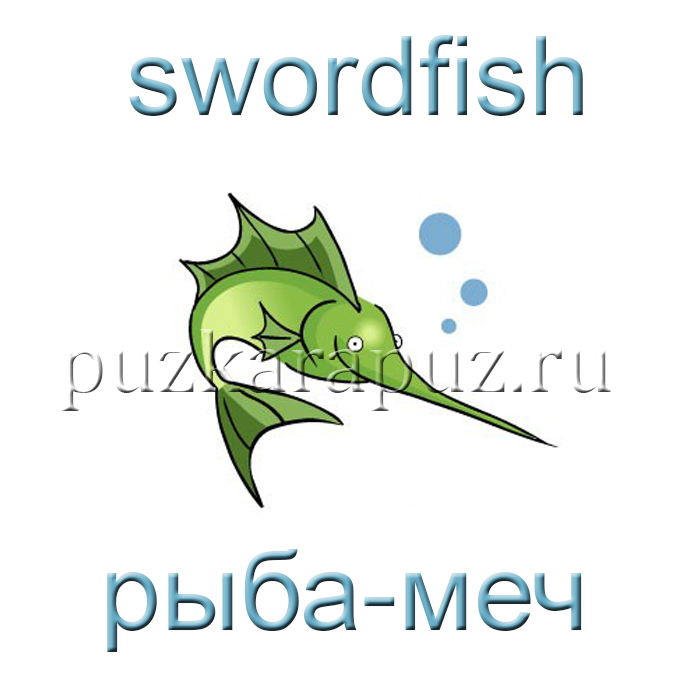 Обитатели красного моря на английском языке