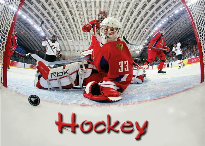 Болельщик хокейный по английски