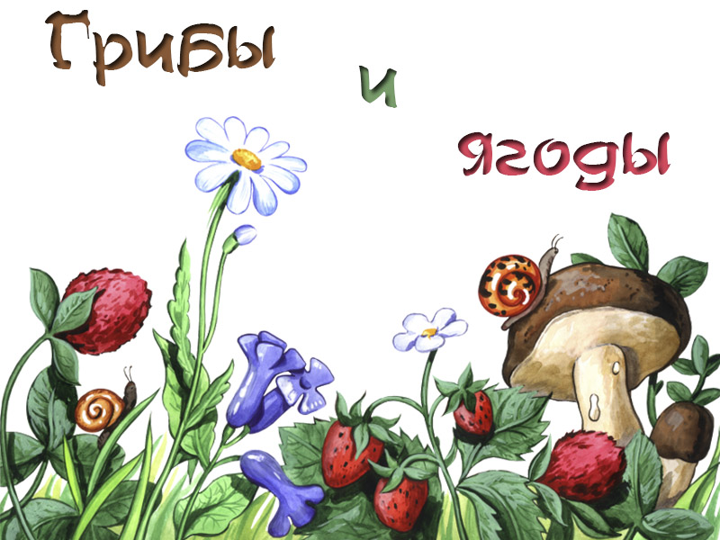 Виды грибов на английсуом