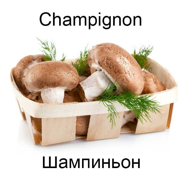 Виды грибов на английсуом