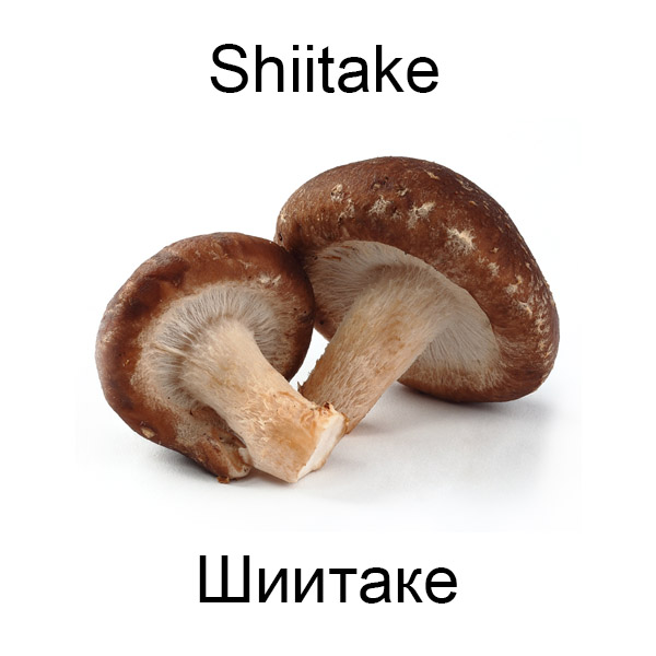 Виды грибов на английсуом