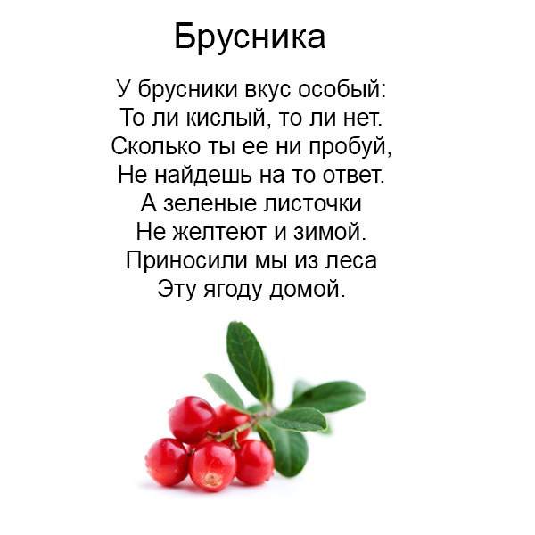 Виды грибов на английсуом
