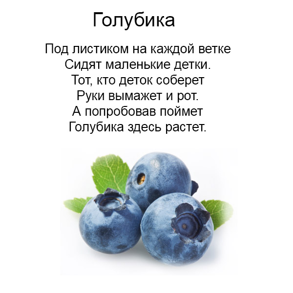 Грибы