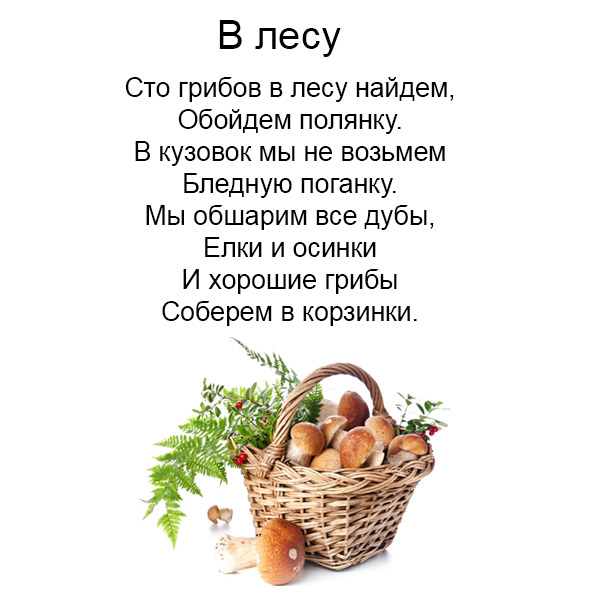 Виды грибов на английсуом