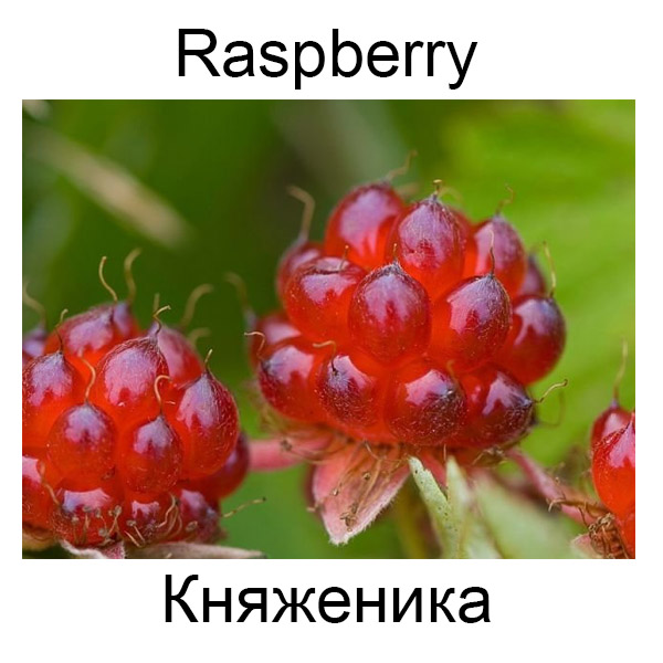 Ягоды и грибы на английском