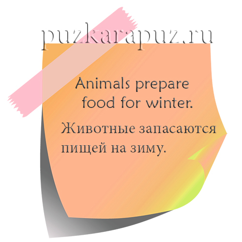 Тема урока времена года английский
