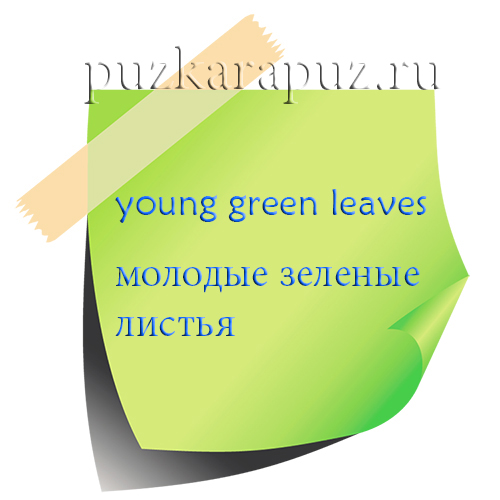 Времена Тема английский
