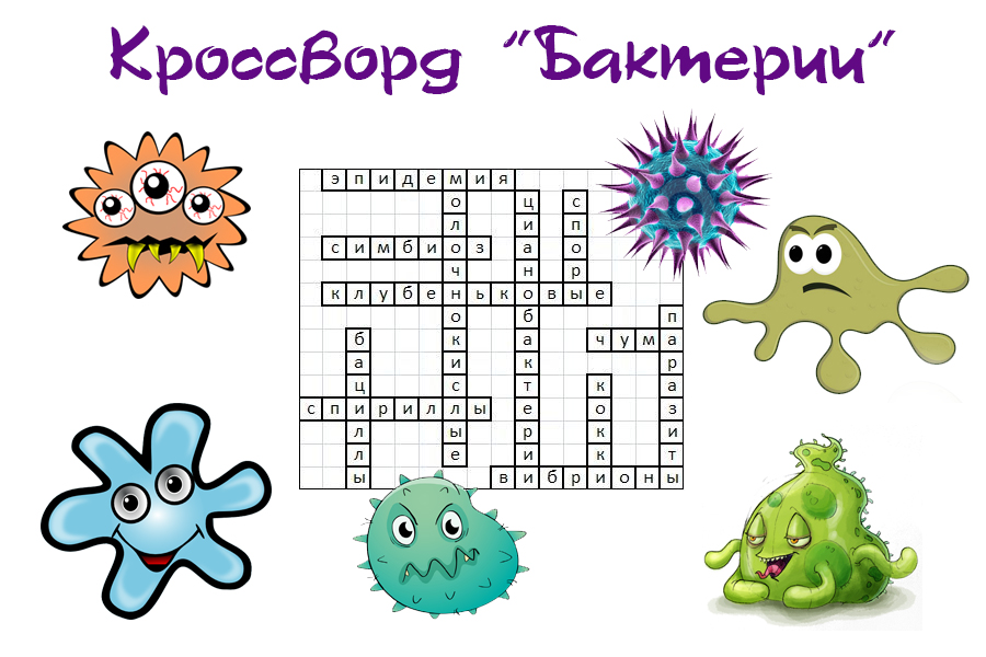 Форма бактерии