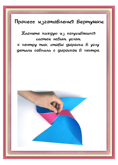 Какие бывают явления живой природы?